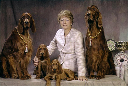 Seter Irlandzki, Hodowla Seterów Irlandzkich