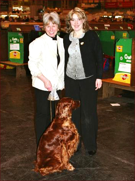 Seter Irlandzki, Hodowla Seterów Irlandzkich