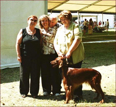 Seter Irlandzki, Hodowla Seterów Irlandzkich