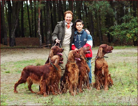 Seter Irlandzki, Hodowla Seterów Irlandzkich